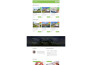 wordpress real estate website design idx mls website real estate landing page